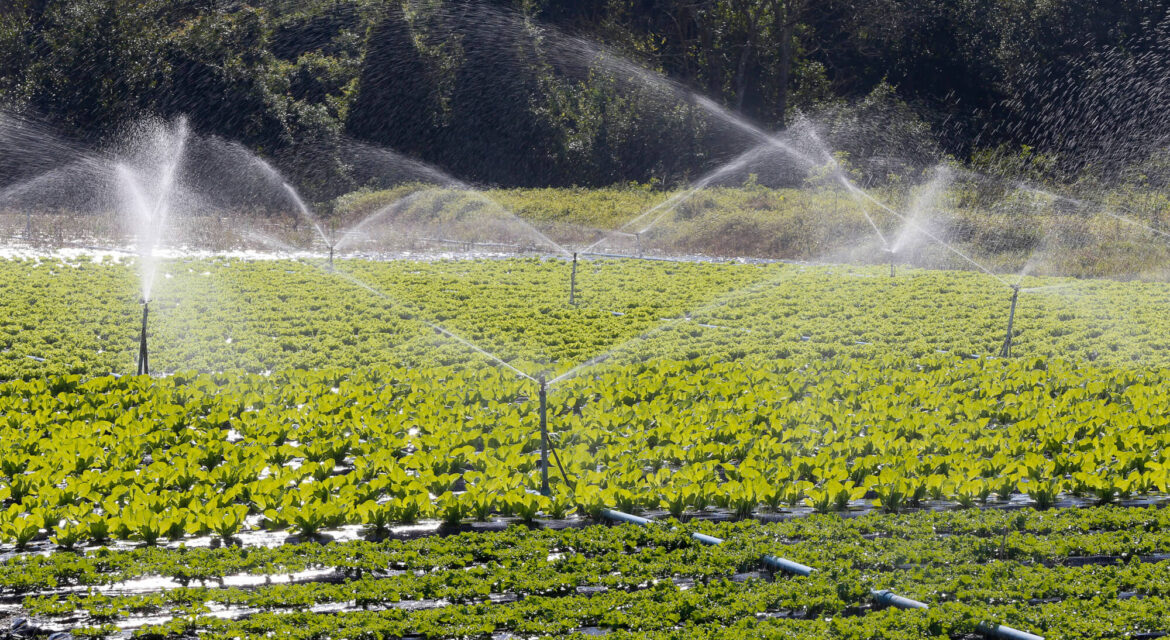 استفاده از تسطیح زمین برای افزایش بهره وری آب در کشاورزی