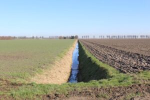 تسطیح زمین و بهره‌ برداری بهینه آب در کشاورزی