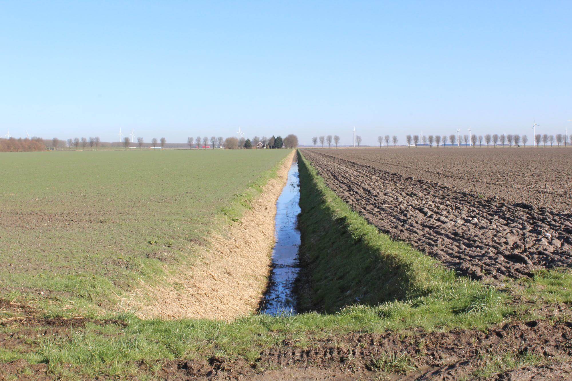 تسطیح زمین و بهره‌ برداری بهینه آب در کشاورزی