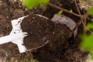 تکنیک های جدید برای بهبود کیفیت خاک در زمین های کشاورزی