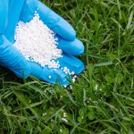 تاثیر کودهای شیمیایی و ارگانیک در کشاورزی