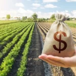 کاهش هزینه های کشاورزی